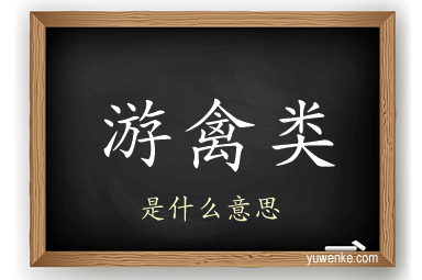 游禽类
