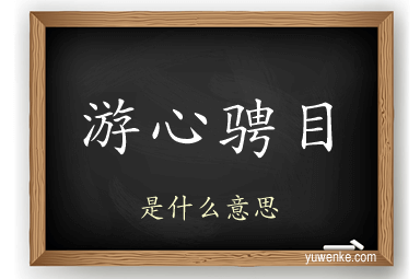 游心骋目