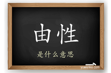 由性