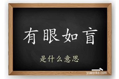 有眼如盲