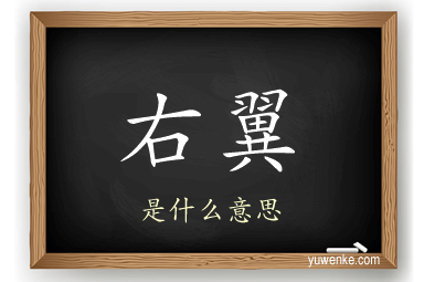 右翼