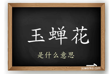 玉蝉花