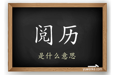 阅历