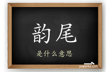 韵尾