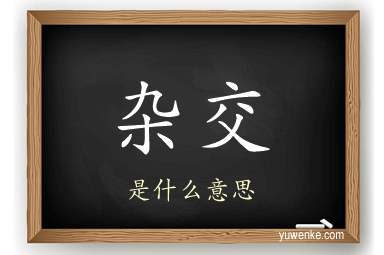 杂交