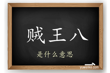 贼王八