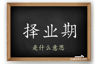 择业期