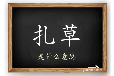 扎草