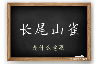 长尾山雀