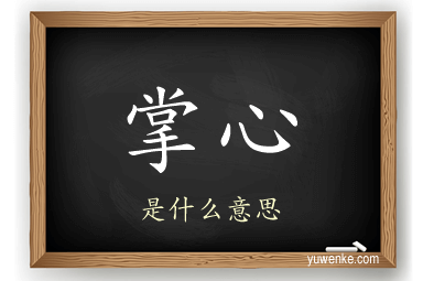 掌心