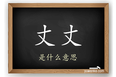丈丈