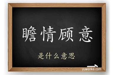 瞻情顾意