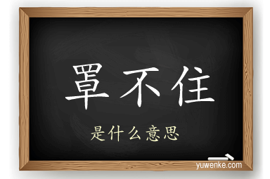 罩不住