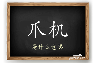 爪机