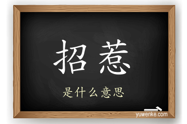 招惹