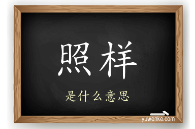 照样