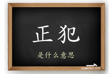 正犯