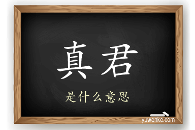 真君