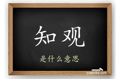 知观