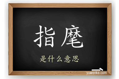 指麾