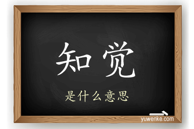 知觉