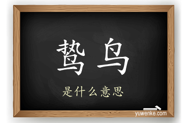 鸷鸟