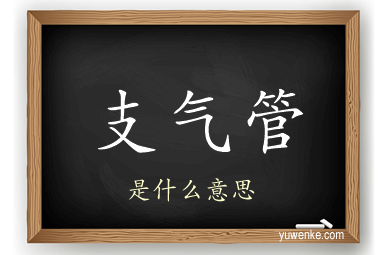 支气管