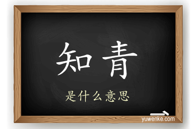 知青