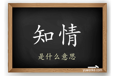 知情