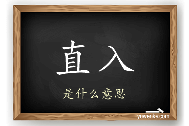 直入
