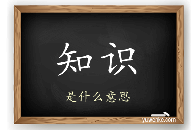 知识