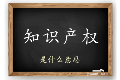知识产权