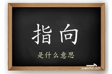 指向