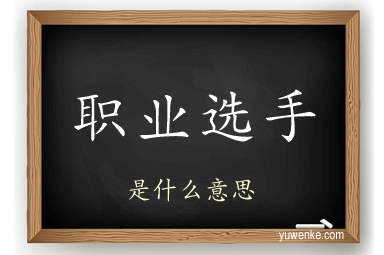 职业选手