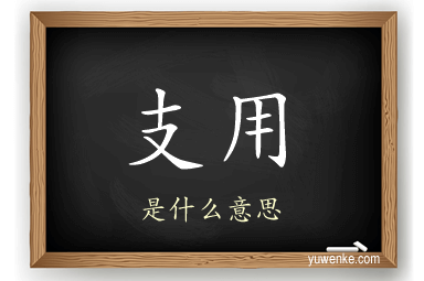 支用