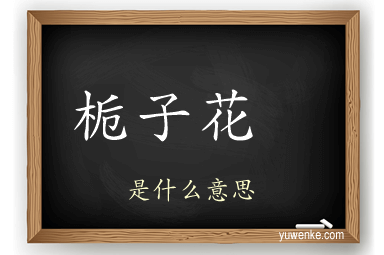 栀子花