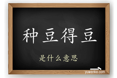 种豆得豆