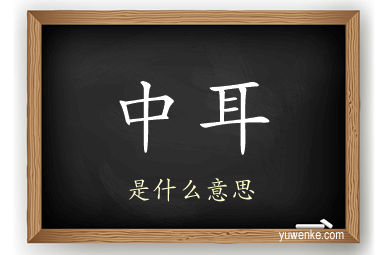 中耳