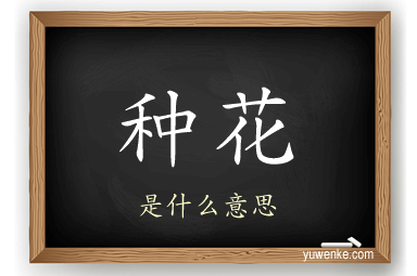 种花