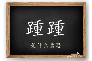 踵踵