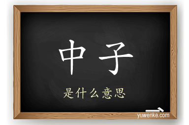 中子