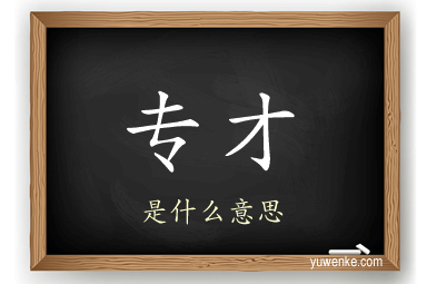 专才