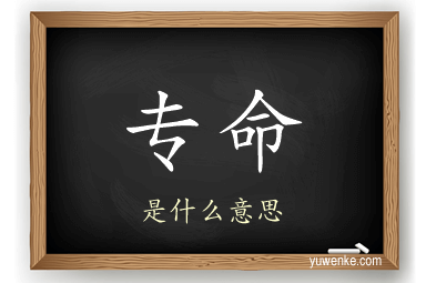 专命