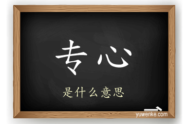 专心