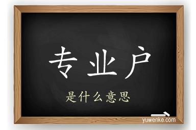 专业户