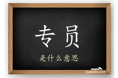专员
