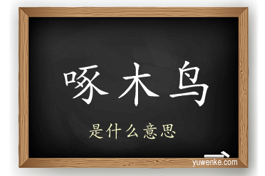 啄木鸟