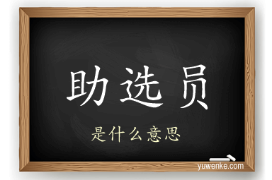 助选员
