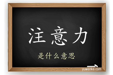 注意力