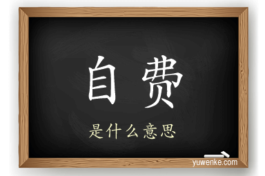 自费